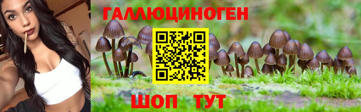 где купить наркотик  Галлюциногенные грибы GOLDEN TEACHER  Вход с VPN  Галлюциногенные грибы Psilocybine cubensis  Удомля 